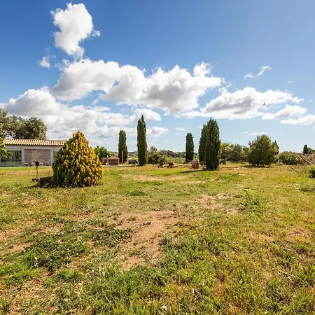 La Casa Oliva In With Terrace Garden & Air Conditioning אגדה