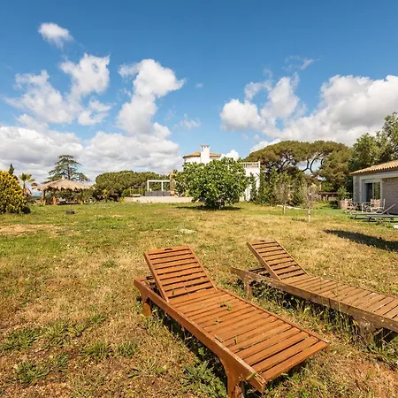 La Casa Oliva In With Terrace Garden & Air Conditioning